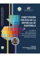 02. Constitución Política de la República de Guatemala Jurisprudencia