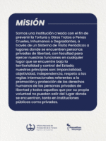 MISION OPT