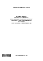 Informe CGC 2026